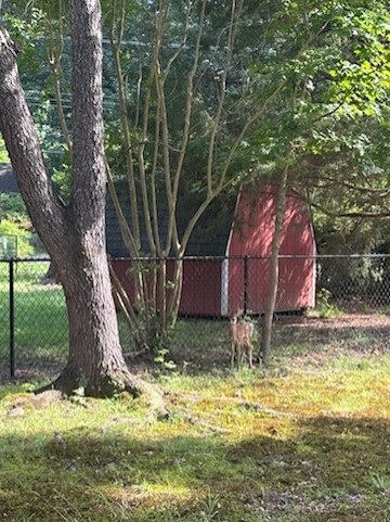 Gallery Photo 66